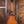 Ibanez AS53-TF