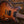 Ibanez AS53-TF