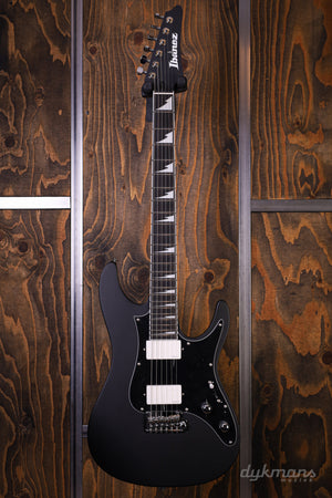 Ibanez BER10 Bernth Signature