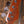 Sire Marcus Miller V5 Fretless 4-String 2nd Gen Tobacco Sunburst