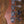 Sire Marcus Miller V5 Fretless 4-String 2nd Gen Tobacco Sunburst