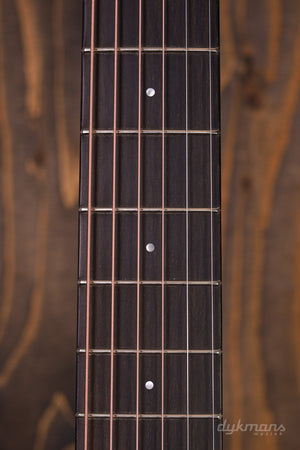 Eastman E1 OMCE Special