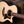 Taylor 814ce Builders Edition