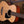 Ibanez PCBE12OPN Acoustic Bass