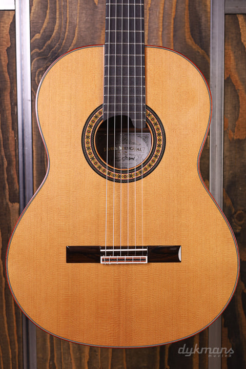 Alhambra Luthier Ziricote