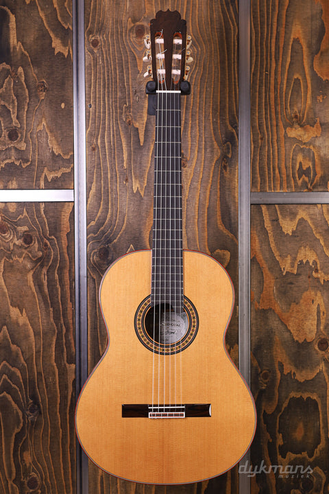 Alhambra Luthier Ziricote