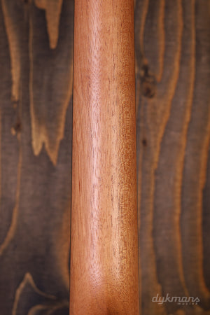 Taylor GS mini-e Special Edition Trans Black