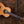 Alhambra Luthier Ziricote