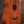 Taylor BT2 Baby Taylor Mahogany