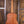 Taylor BT2 Baby Taylor Mahogany