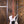 Dingwall D-Roc 5-string Ducati Matte Pearl White