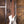 Dingwall D-Roc 5-string Ducati Matte Pearl White