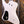 Dingwall D-Roc 5-string Ducati Matte Pearl White