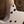 Dingwall D-Roc 5-string Ducati Matte Pearl White
