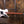Dingwall D-Roc 5-string Ducati Matte Pearl White