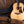 Taylor Gold Label 517e