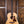Taylor Gold Label 517e