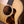 Taylor Gold Label 517e