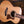 Taylor GT 811e