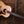Taylor Gold Label 517e