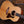 Taylor Gold Label 517e