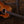Taylor 217e Plus Special Edition Honeyburst