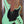 Dingwall JT3 John Taylor Signature 4-String Seafoam Green