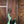 Dingwall JT3 John Taylor Signature 4-String Seafoam Green