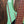 Dingwall JT3 John Taylor Signature 4-String Seafoam Green