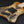 Dingwall Custom Shop D-Roc Custom 5 Buckeye Burl PRE-ORDER