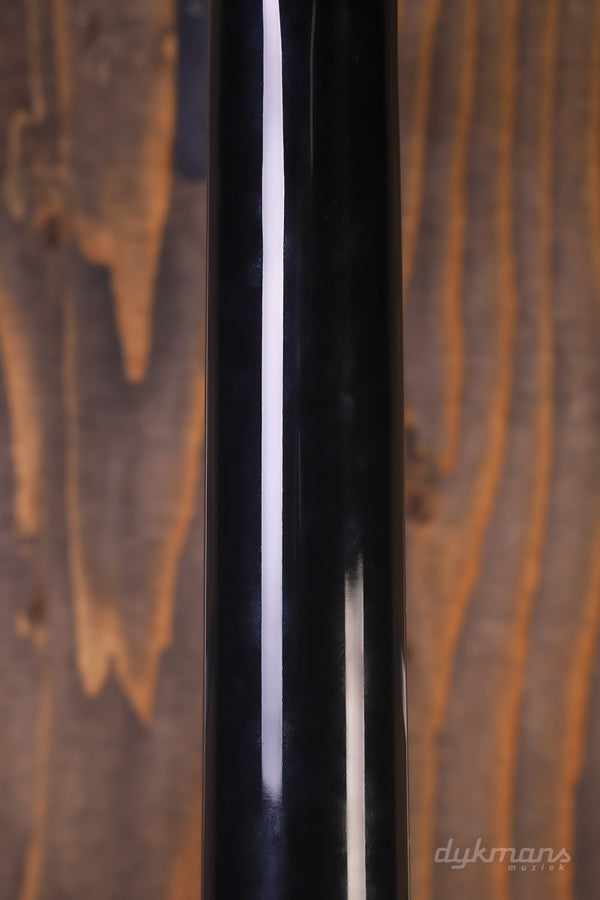 Taylor 214ce-BLK DLX