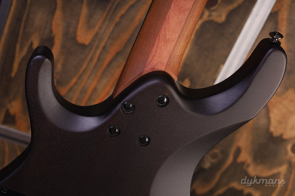 Ibanez Q52PENTF 