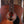 Eastman PCH1-OM Classic