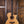 Taylor Custom GA LTD Cocobolo