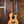 Taylor Custom GA LTD Cocobolo