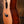 Taylor Custom GA LTD Cocobolo