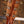 Taylor Custom GA LTD Cocobolo