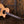 Taylor Custom GA LTD Cocobolo