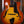 Eastman AR805CE