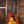 Eastman AR805CE