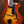 Eastman AR805CE