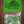 Dunlop Tortex Plectra 12-pack