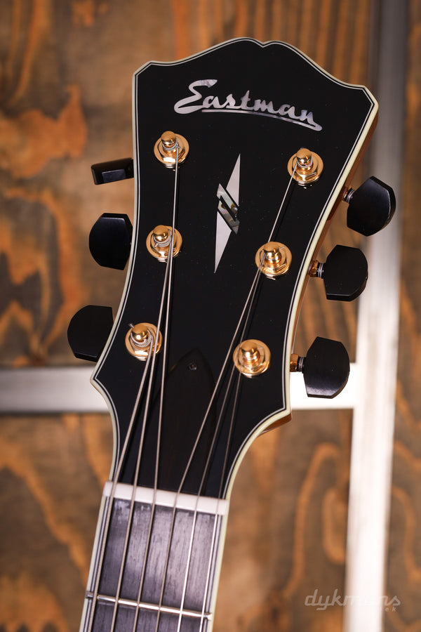 Eastman AR805CE
