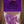 Dunlop Tortex Plectra 12-pack