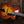 Eastman AR805CE
