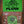 Dunlop Tortex Flow Plectra 12-pack