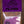 Dunlop Tortex Flow Plectra 12-pack
