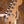 Fender Standard Stratocaster Maple Candy Apple Red