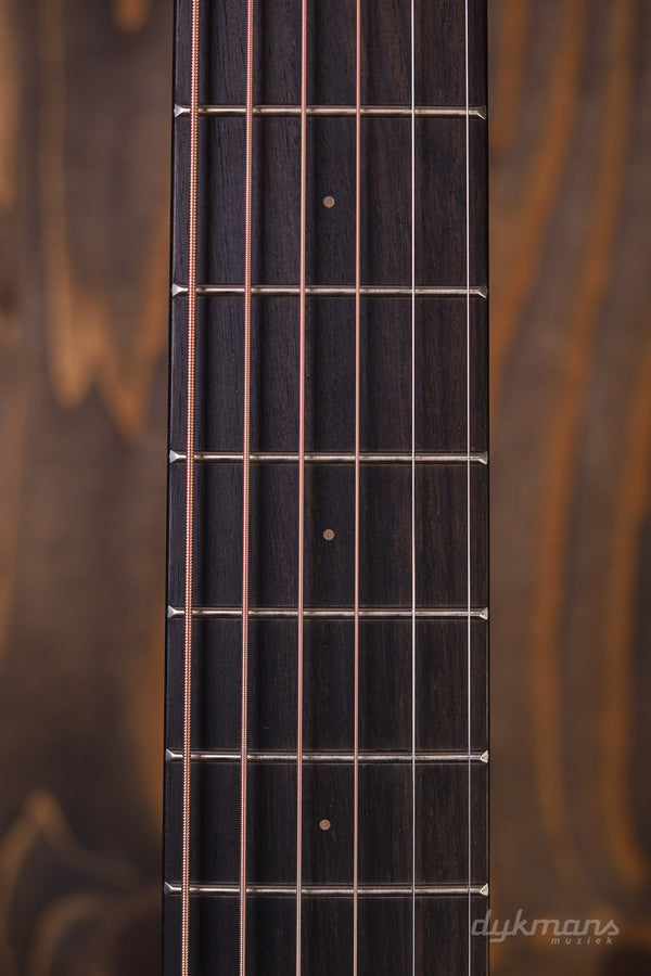 Furch Pioneer EM