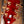 Epiphone Alex Lifeson Custom Axcess